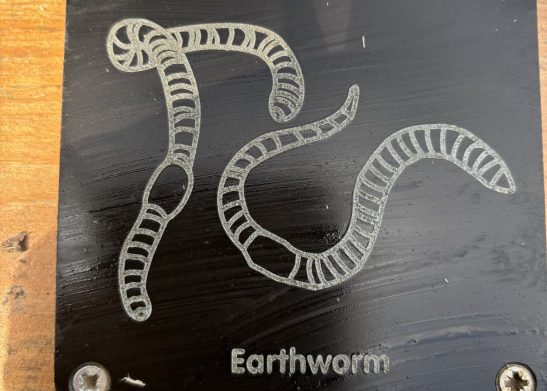 Earth worm plaque