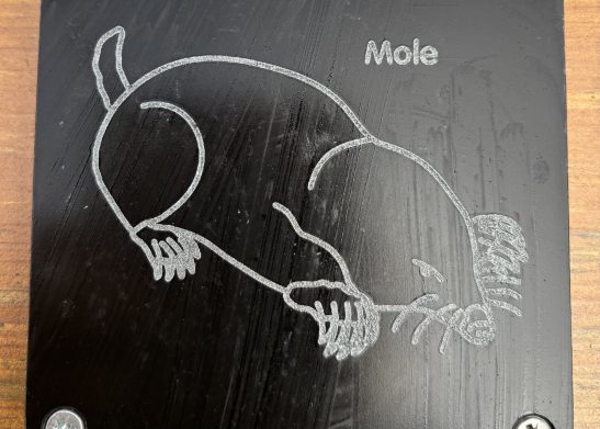 Mole Plaque
