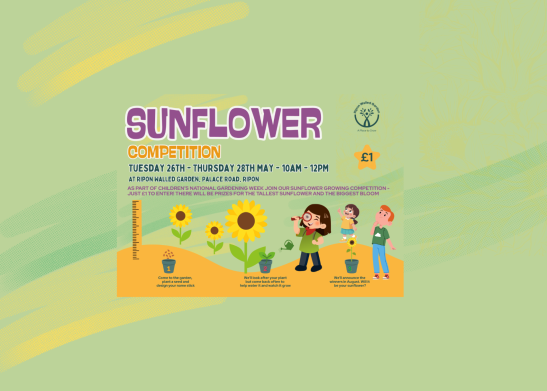 Copy of Sunflower competition (A4 (Landscape)) (1)