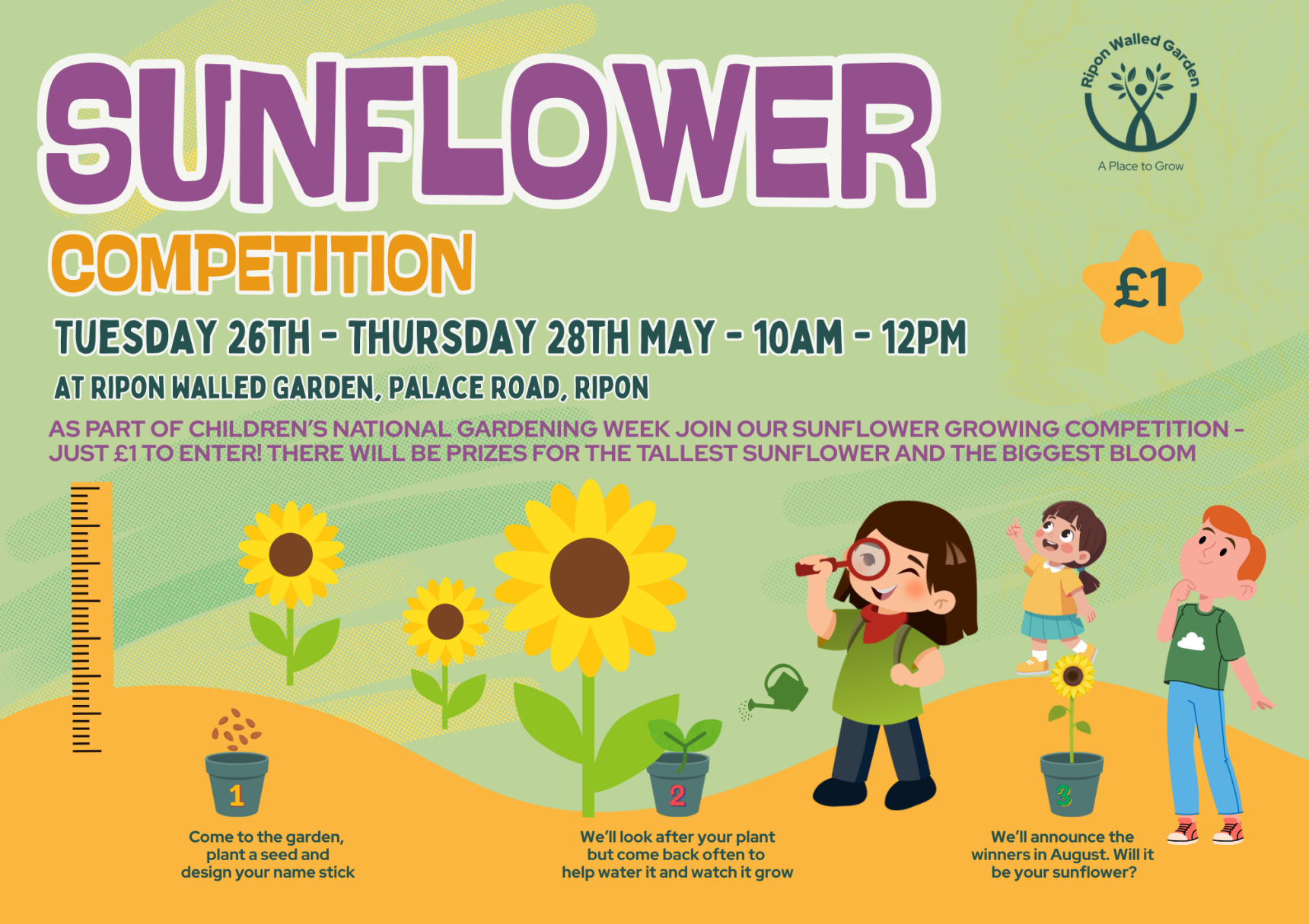 Sunflower competition (A4 (Landscape))