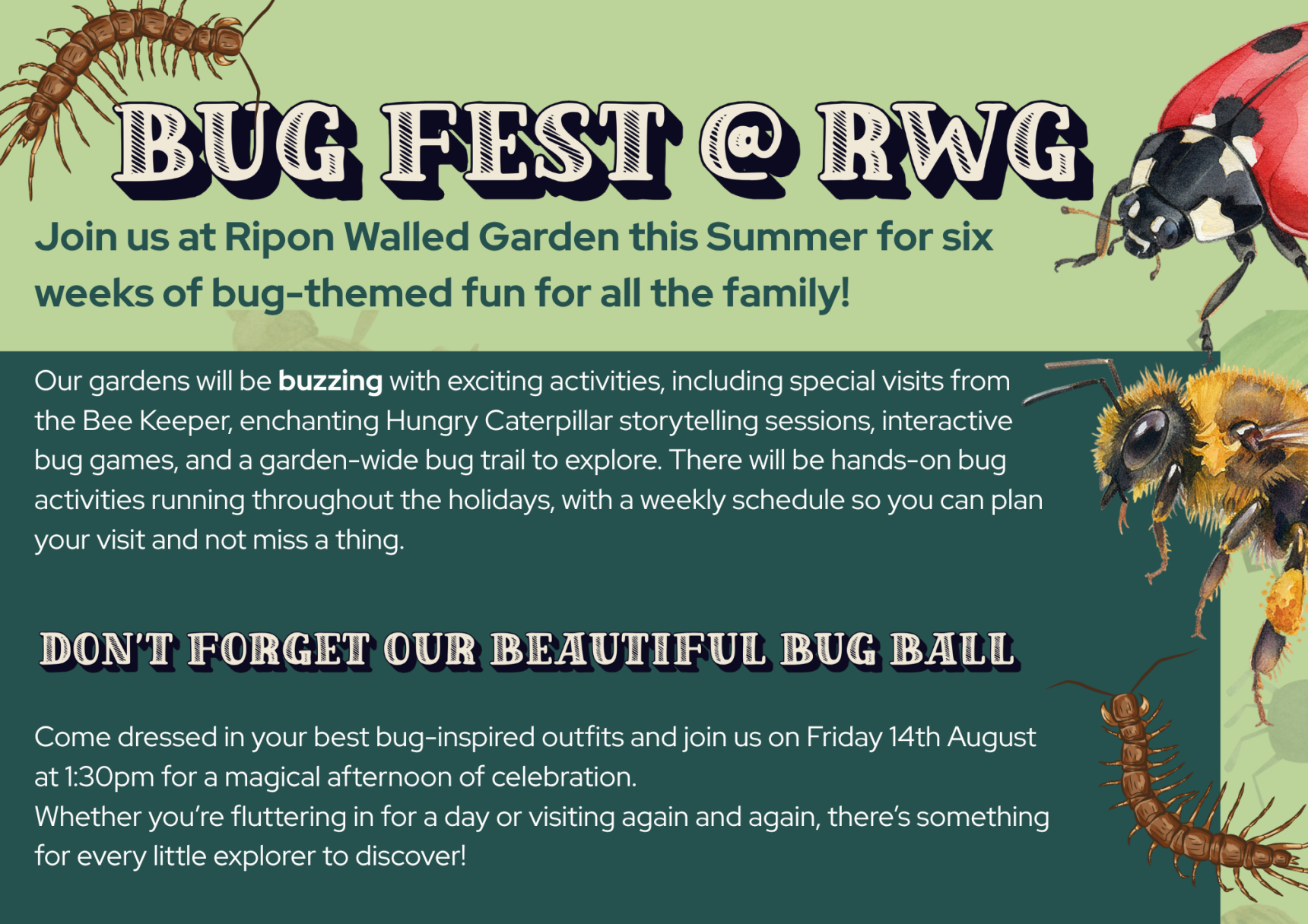 Bug Fest