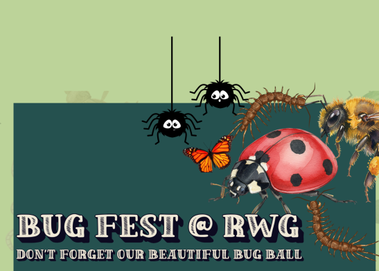 Bugs 2